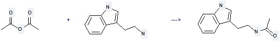 Acetamide,N-[2-(1H-indol-3-yl)ethyl]- can be prepared by 2-indol-3-yl-ethylamine and acetic acid anhydride